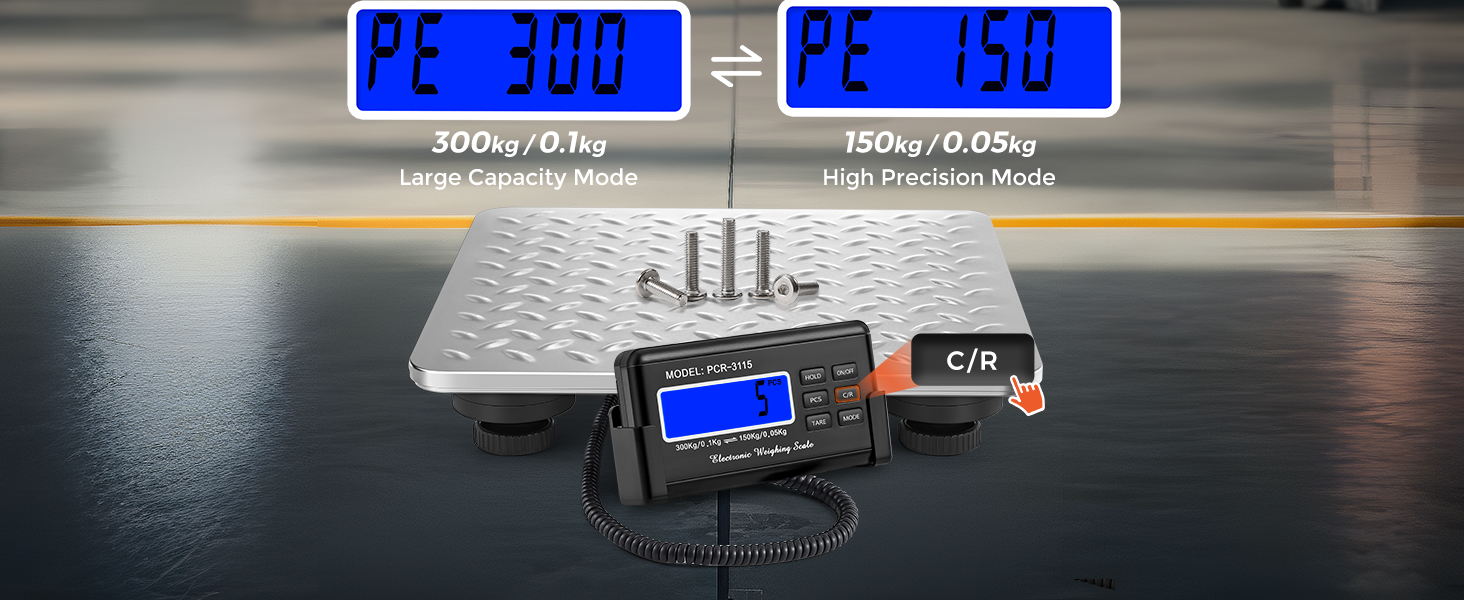 postal scale
