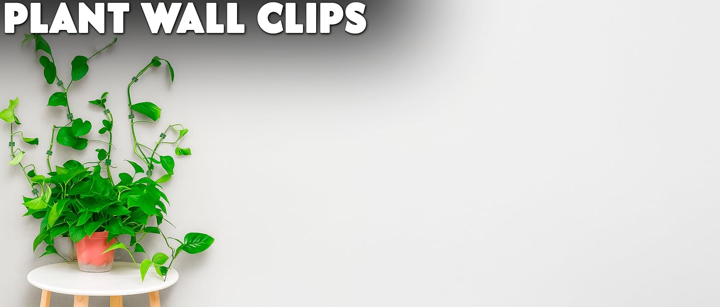hook clips, vine plants, plant holder wall mount plant wall hook vine holders for climbing plants