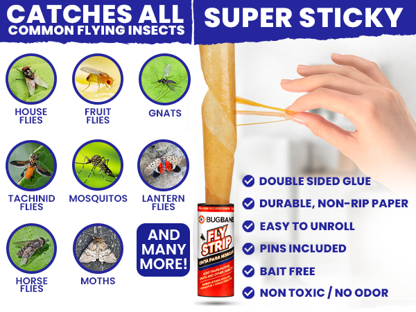 Catches all insects fly trap