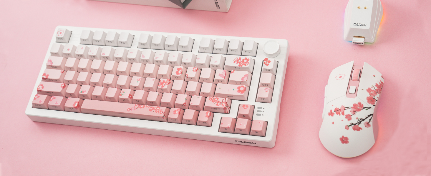 wireless keyboard and mouse
