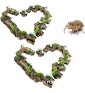 Apatal Jumping Spider Enclosure Accessories 30 Pcs Small Cork Bark for Tarantula Hide Spider Terr...