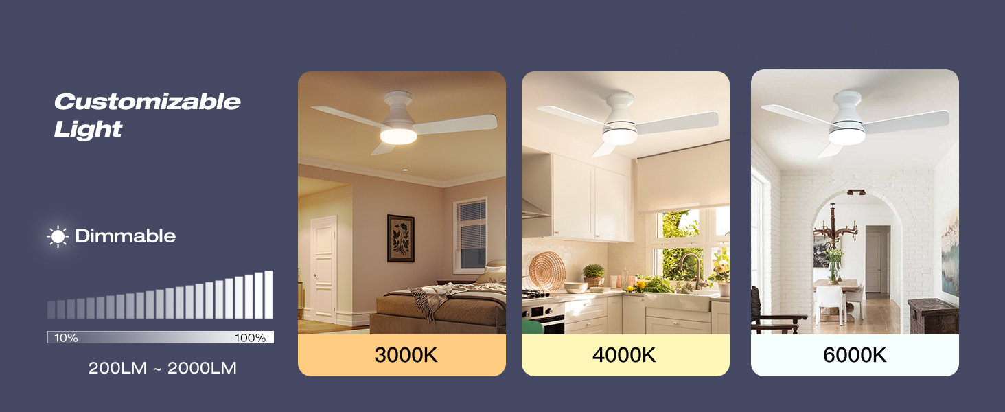 customizable light