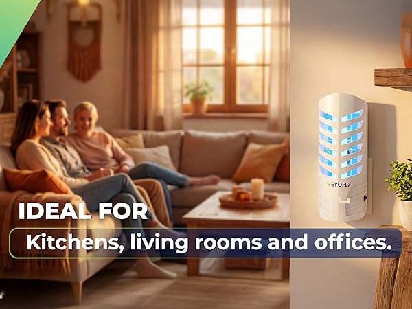 Fly Traps