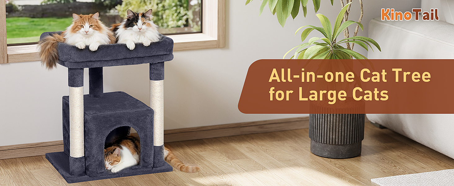 cat tree for large cats