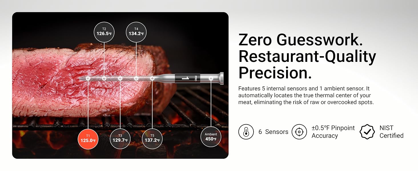 wireless meat thermometer