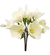 LIUCOGXI 4 Pcs Artificial Magnolia Flowers White with Long Stems and Green Leaves for Wedding Bri...