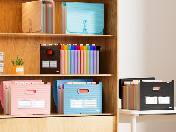 accordion file organizer 12 pocket