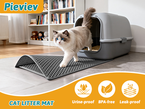 cat litter mat