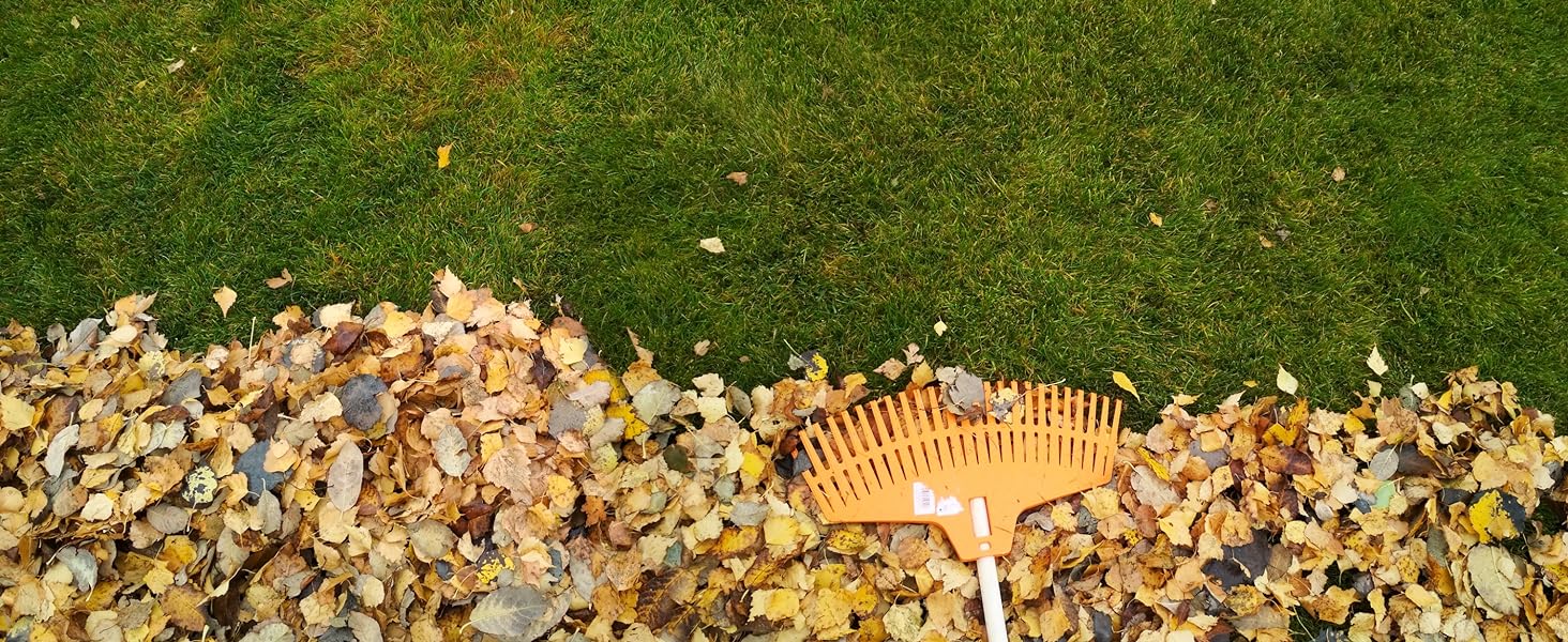 raking leaves in the backyard grass for fall lawn care season