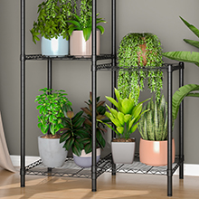 plant stand indoor