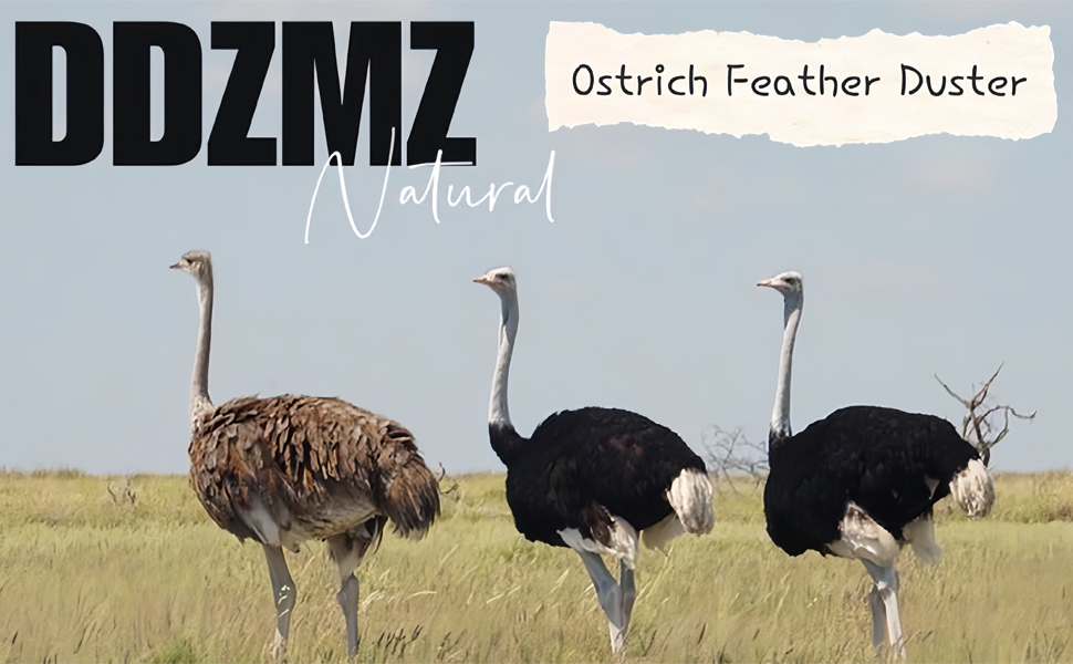 Ostrich Feather Duster