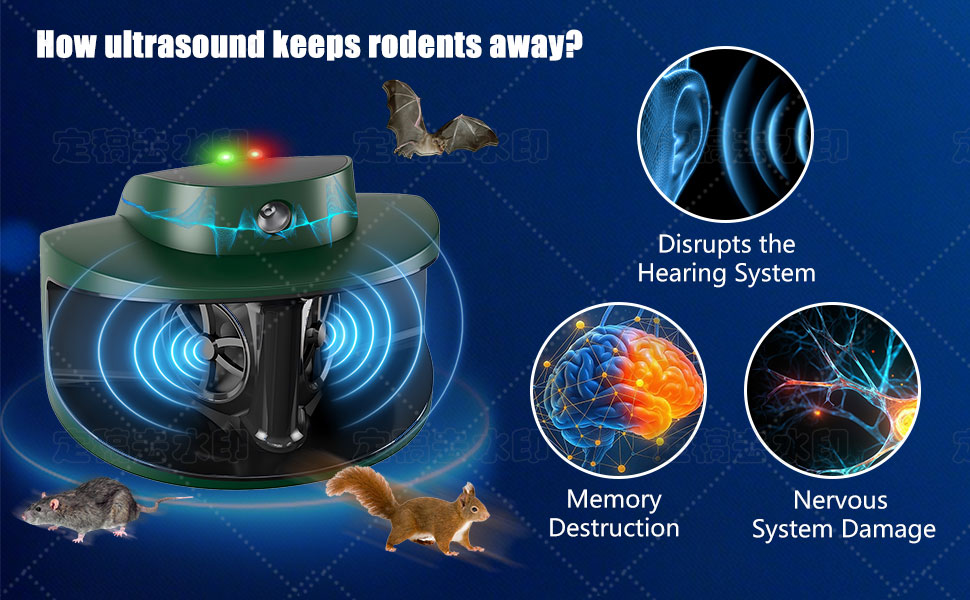 How Ultrasound keeps Pests Away