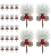 24 PCS Snow Pinecones, Christmas Ornaments