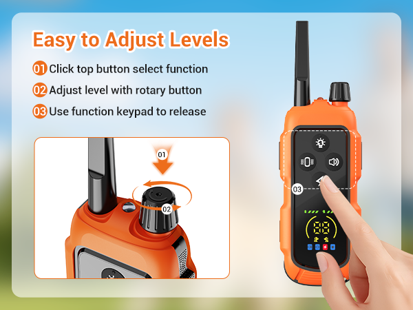 dog training collar with remote