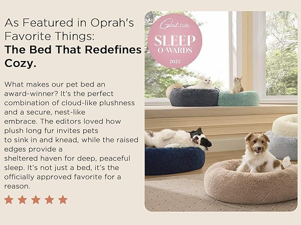 dog bed