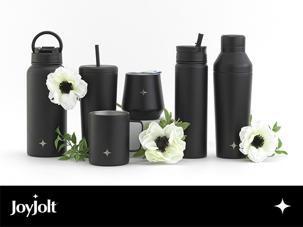 Joyjolt Stainless Steel Water Bottle