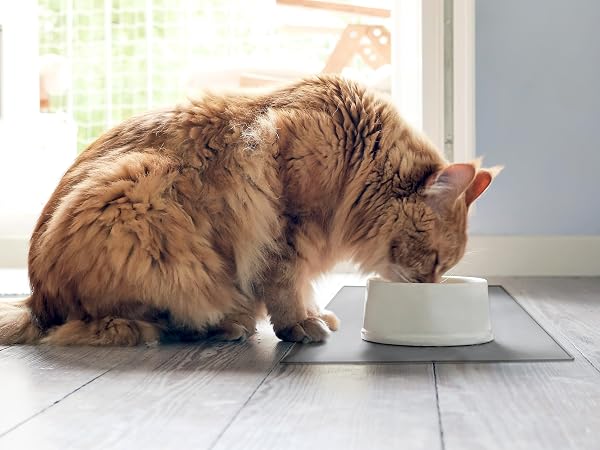 Cat food mat, dog food mat, dog mat for food and water