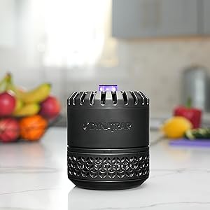 DynaTrap Indoor Insect Trap is easy to use