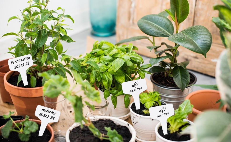 Nursery Garden Labels