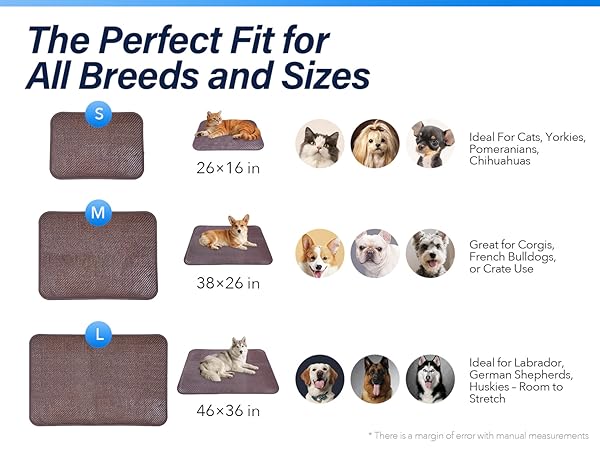 dog cooling bed