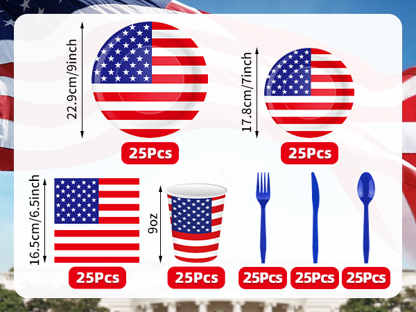 USA Flag Disposable Tableware Set