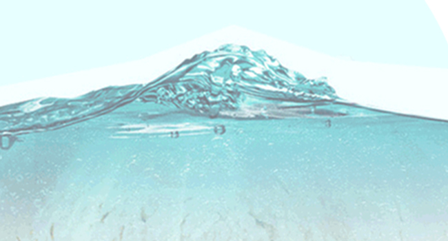 diatomaceous earth