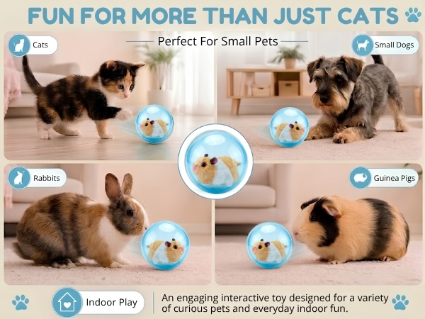 Component breakdown of a rechargeable cat toy kit with interactive toys for cats parts shown