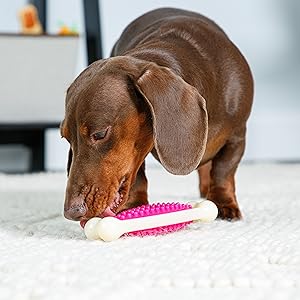 Chew 'n clean