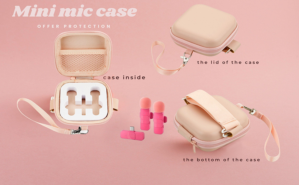 mini mic case
