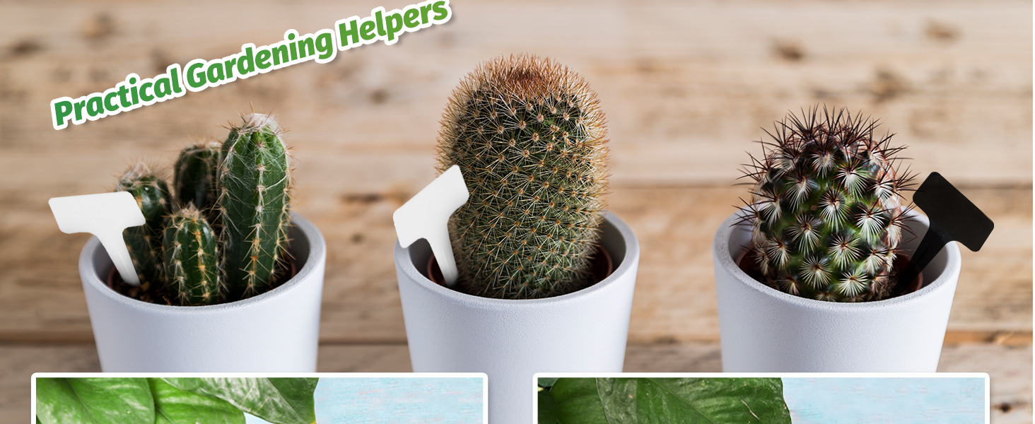 100 Pcs Plastic Plant Labels