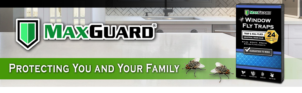 MaxGuard Window Fly Traps