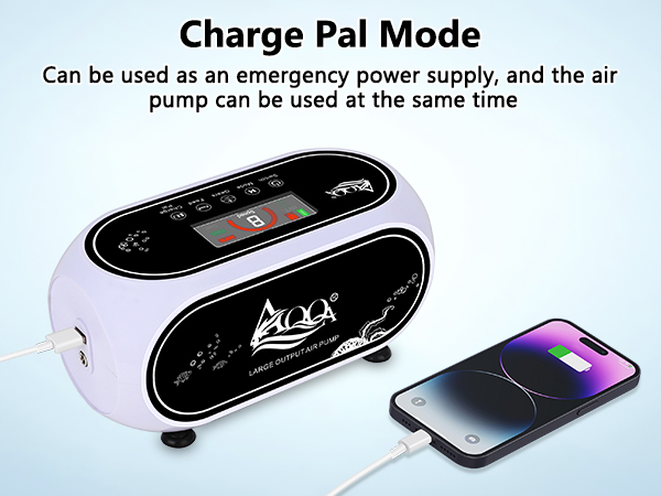 rechargeable air pump
