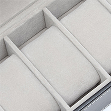 watch case
