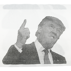 Fairly Odd Novelties Donald Trump Novelty Political Humor Funny Toilet Paper Gag Gift
