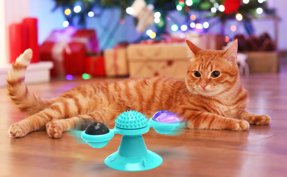 cat toys