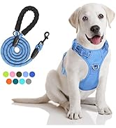PoyPet No Pull Dog Harness and 5 Feet Leash Set, Release on Neck Reflective Adjustable Pet Vest, ...