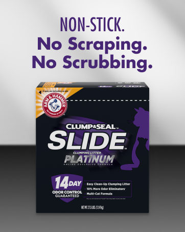 slide cat litter