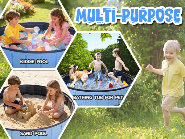 dog pool