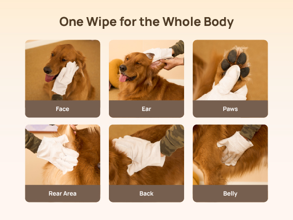 dog wet wipes