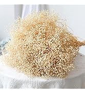 Dried-Babys-Breath-Flowers-Bouquet, Double Quantityed 5000+ Ivory White Flowers, Natural Gypsophi...