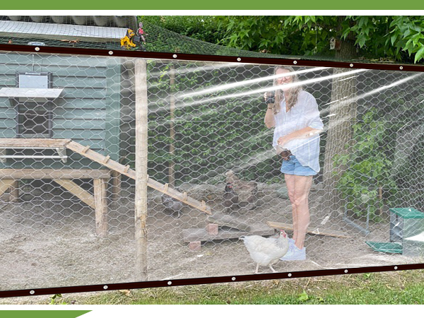 Transparent Tarpaulin