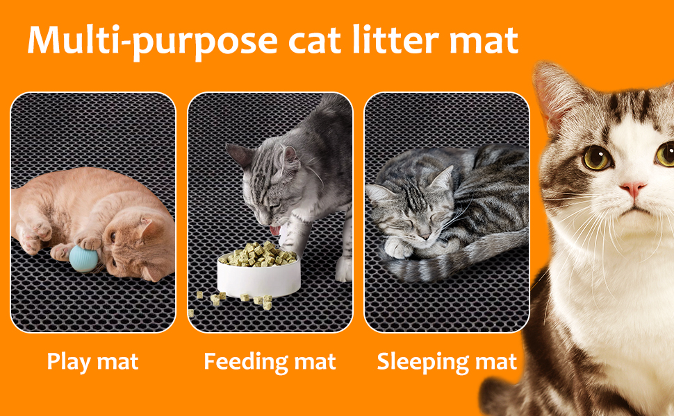 cat litter mat