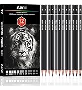 Charcoal Pencils for Drawing, Set of 12 Drawing Pencils for Sketching Medium (6B - 4H), Artist Gr...