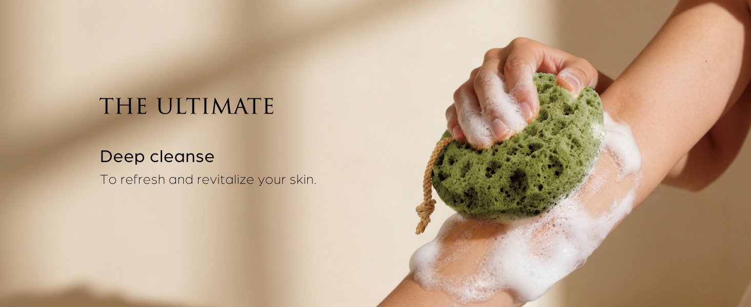 shower sponge