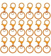30Pcs Lobster Claw Clasps Keychain for Jewelry Making,Metal Lobster Clasp Swivel Trigger Clips wi...