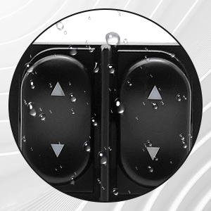 Window Control Switch