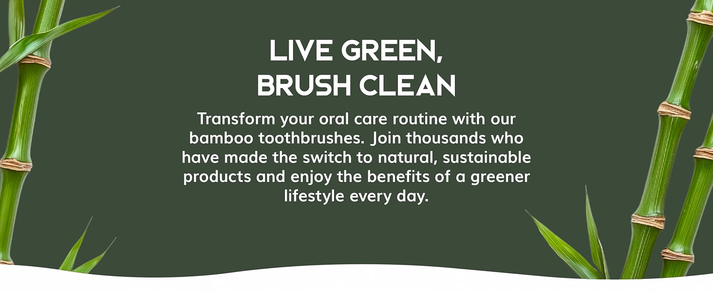 Greenzla Natural bamboo toothbrushes, travel toothbrush set, travel kit, toothbrushes for adults