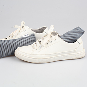 shoe deodorizer