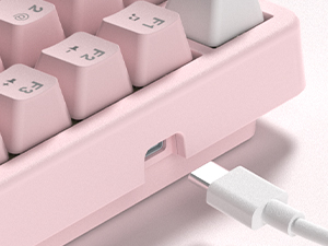 Connectivity: Wired USB-C