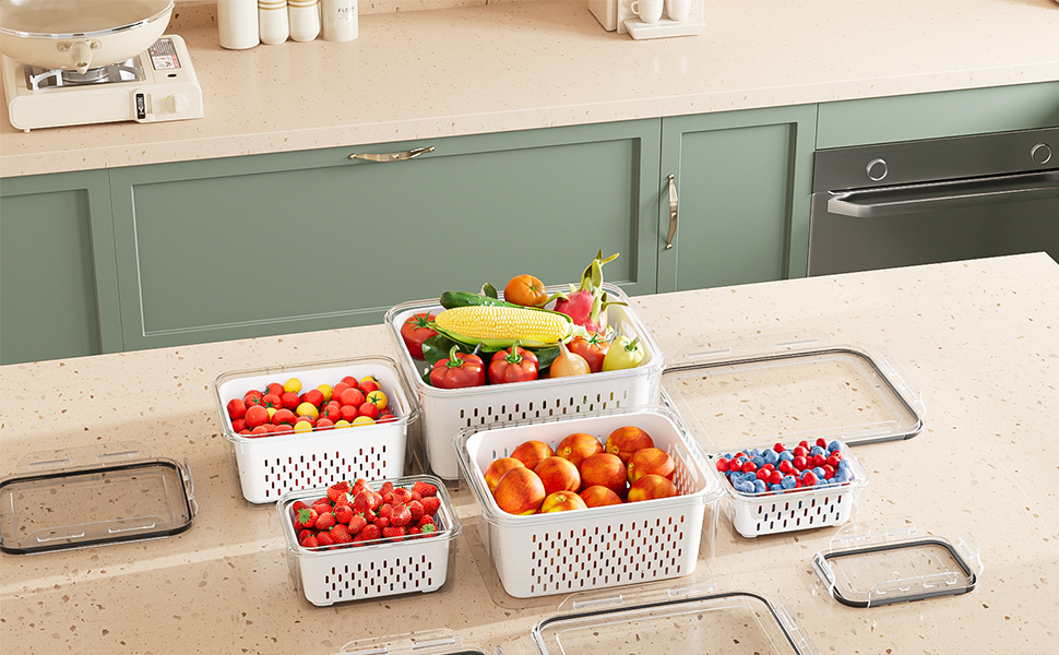 fruit saver containers for fridge